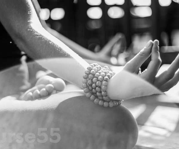 meditation-for-everyday-life-by-david-nichtern-free-download