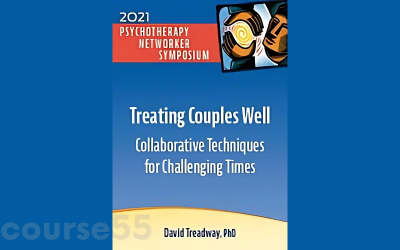 treating-couples-well-collaborative-techniques-for-challenging-times-by-david-treadway-free-download
