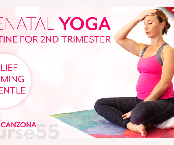 prenatal-yoga-2nd-trimester-collection-with-tesssa-canzona-free-download