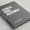 business-model-assessment-by-daniel-pereira-the-business-model-analyst-free-download