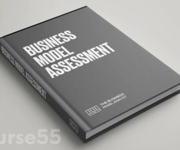 business-model-assessment-by-daniel-pereira-the-business-model-analyst-free-download