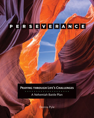 Perseverance: Praying Through Life&rsquo;s Challenges