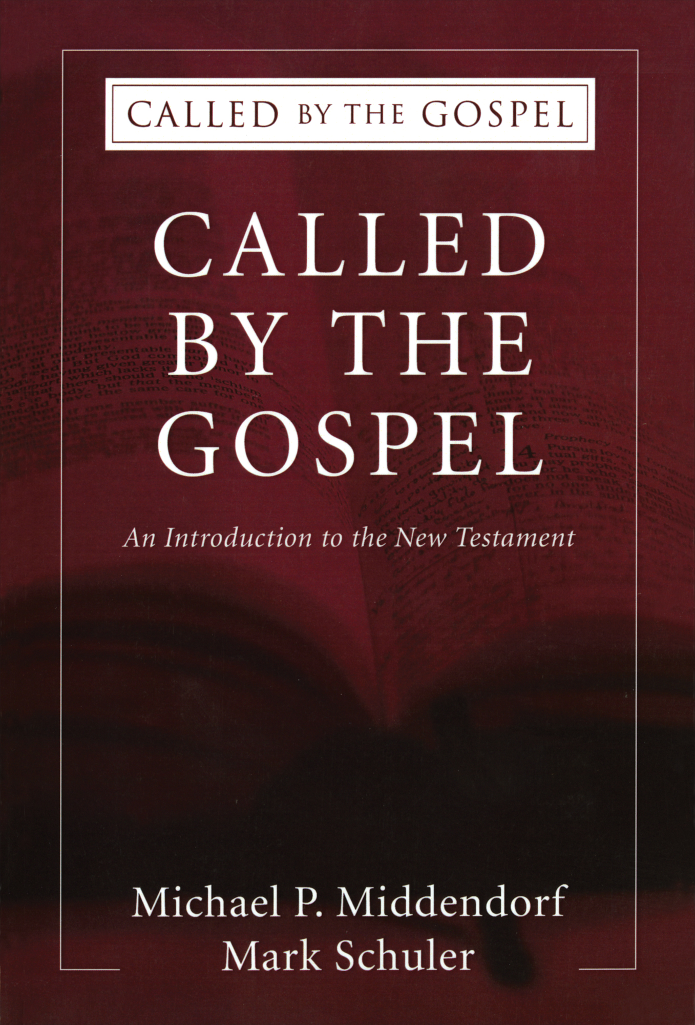 Canonical gospels image