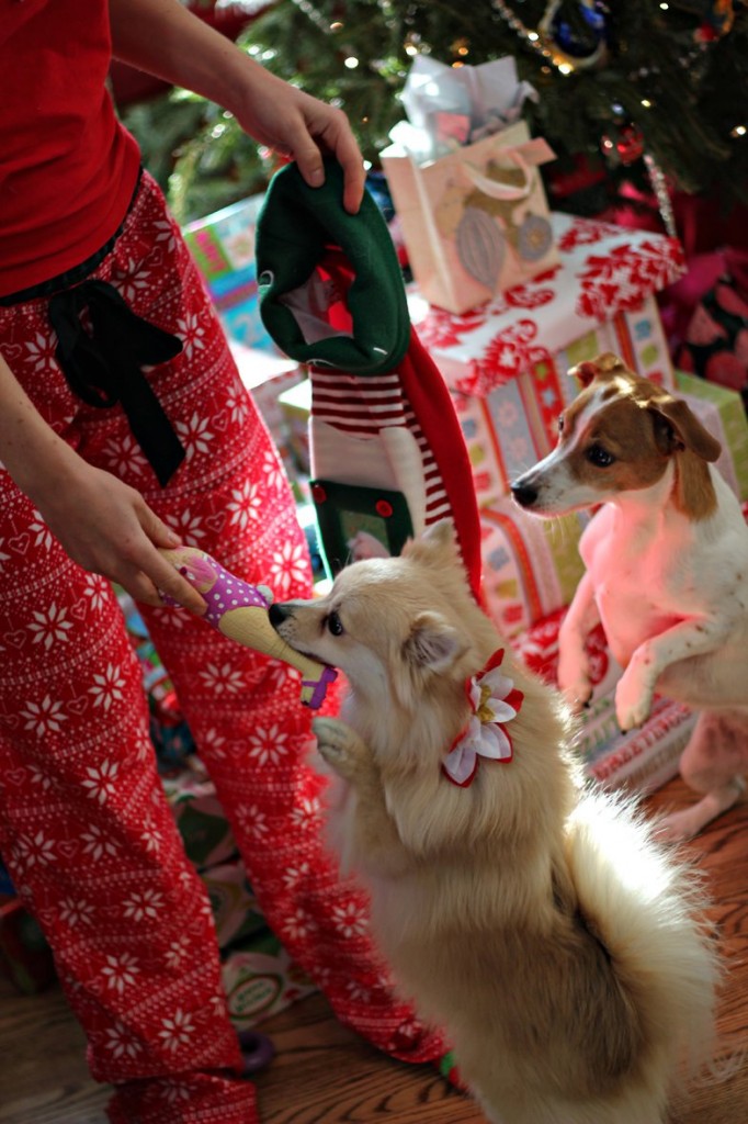 135679_539611978314_220301250_31688071_3397993_o