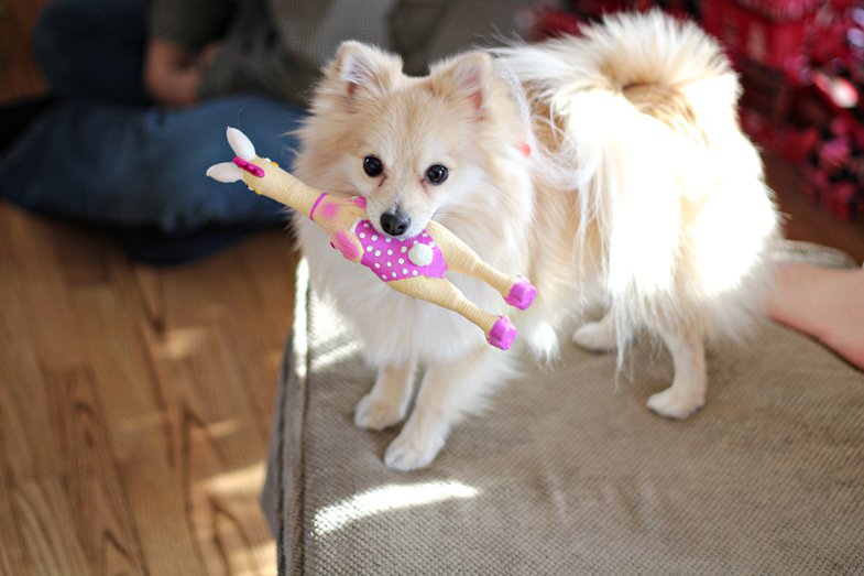 135754_539611828614_220301250_31688061_5721920_o