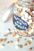 pumpkin-pie-granola-main