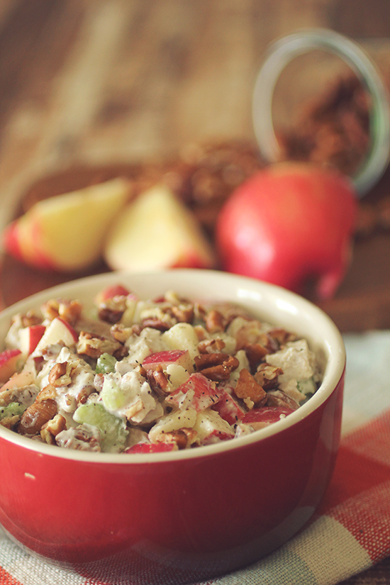 apple-pecan-turkey-salad-main