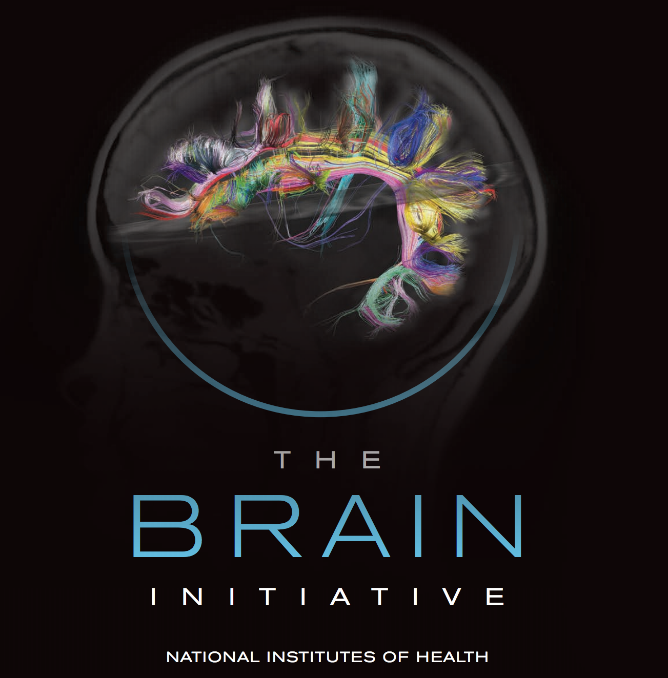 The BRAIN Initiative