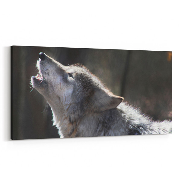 A Gray Wolf Howling Canvas Wall Art
