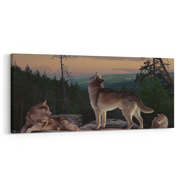 A Pack Of Wolves On The Rock Canvas Wall Art