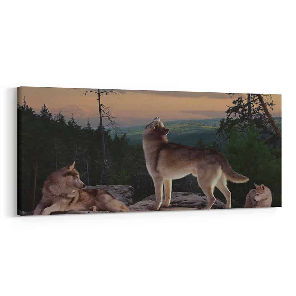 A Pack Of Wolves On The Rock Canvas Wall Art