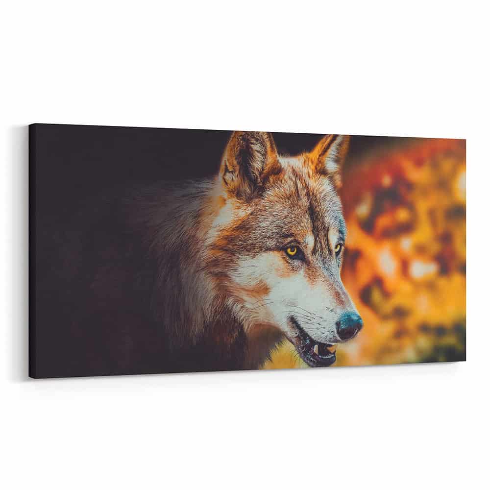 A Wolf With Amber Eyes In Autumn – Close Up Canvas Wall Art