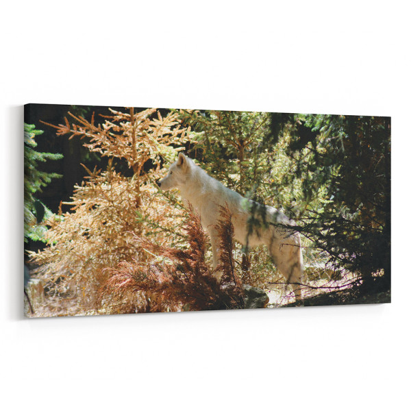Arctic Wolf In Forest Canvas Wall Art - Wolf Wall Art