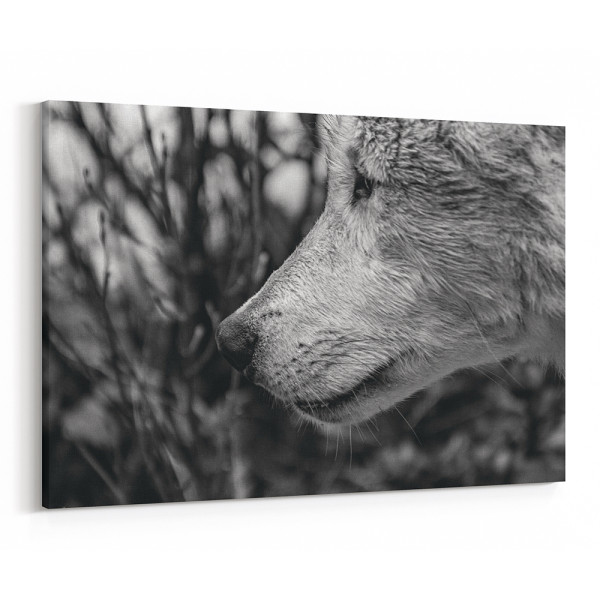 Black And White Wolf - Close Up Canvas Wall Art