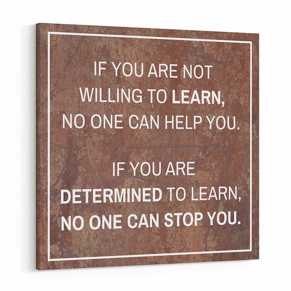 If You Are Not Willing To Learn No One Can Help You Canvas Print