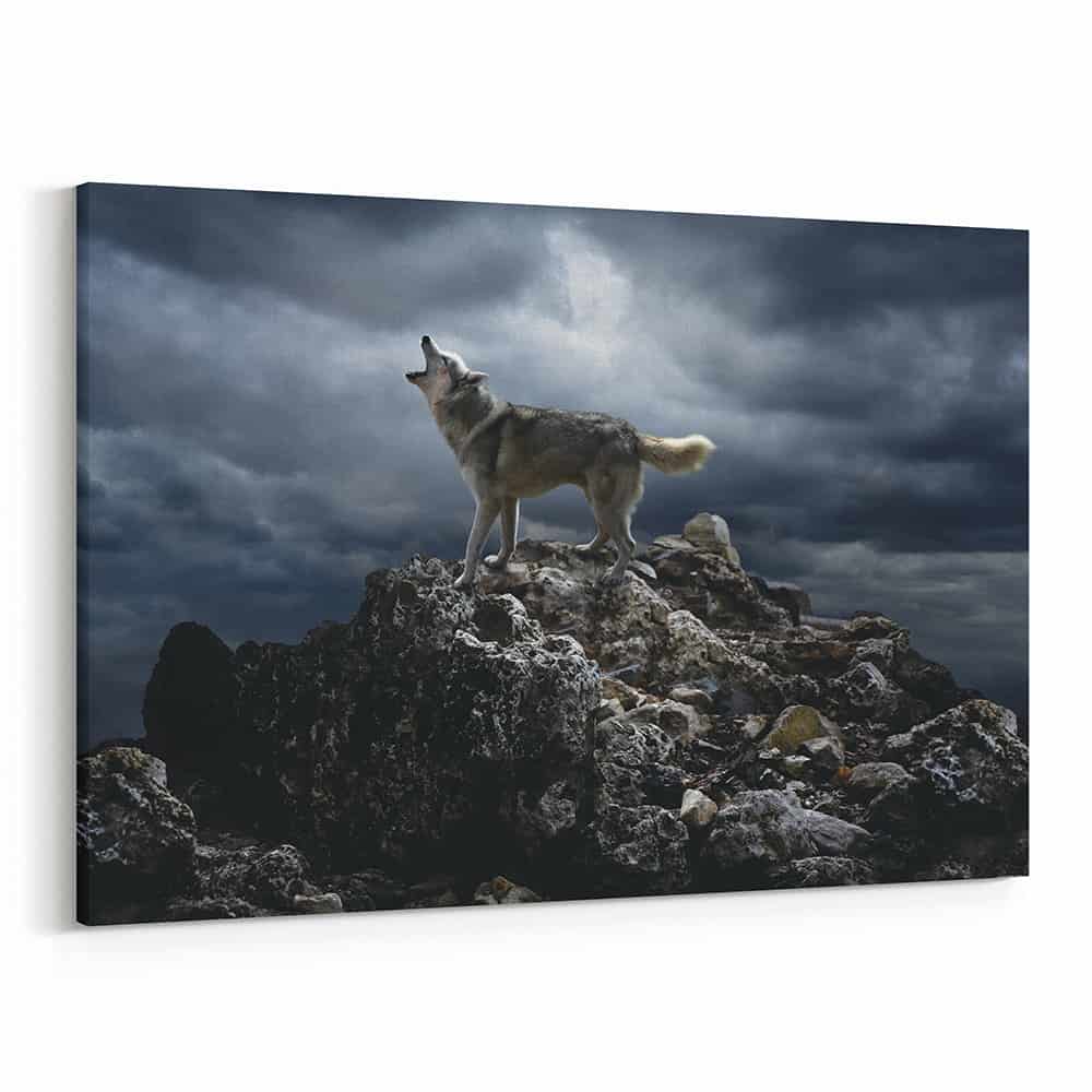 Wolf Howling On Cliff Canvas Wall Art