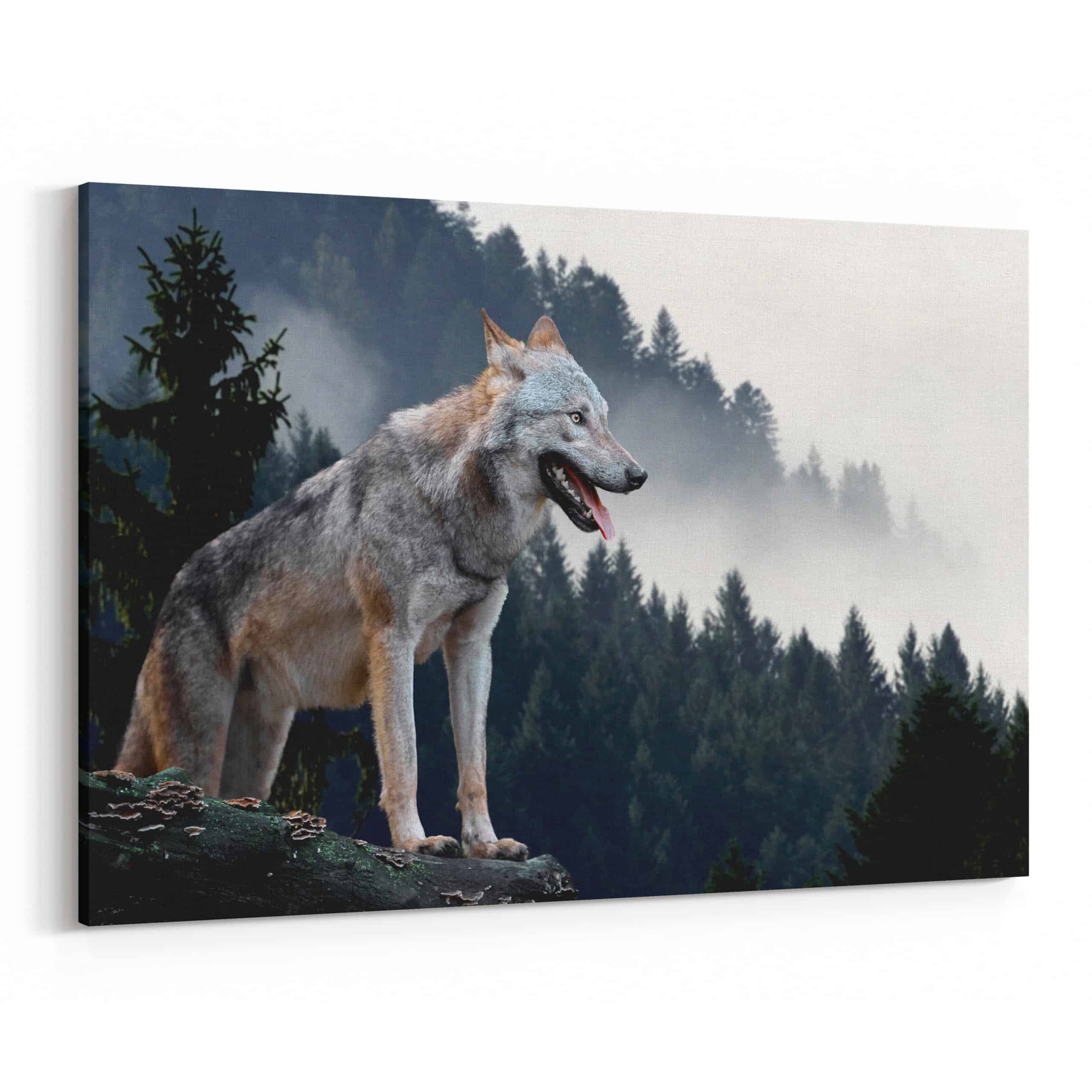 Wolf Standing In The Mountains Canvas Wall Art