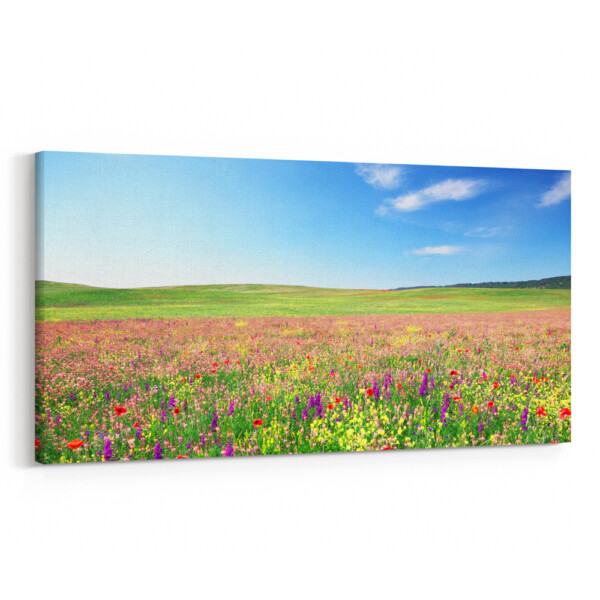 20x40" Canvas Print