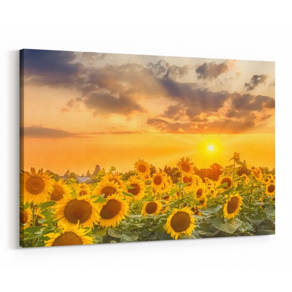 32x48" Canvas Print