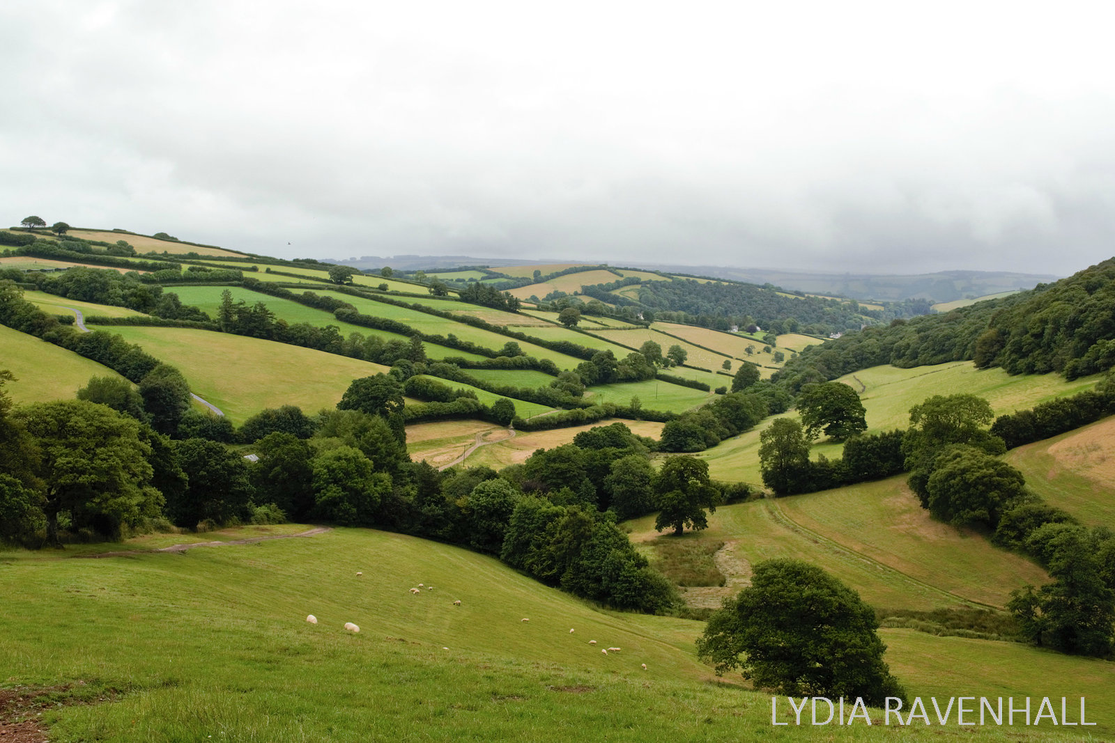 Lydia Ravenhall Landscapes Winsford, Somerset
