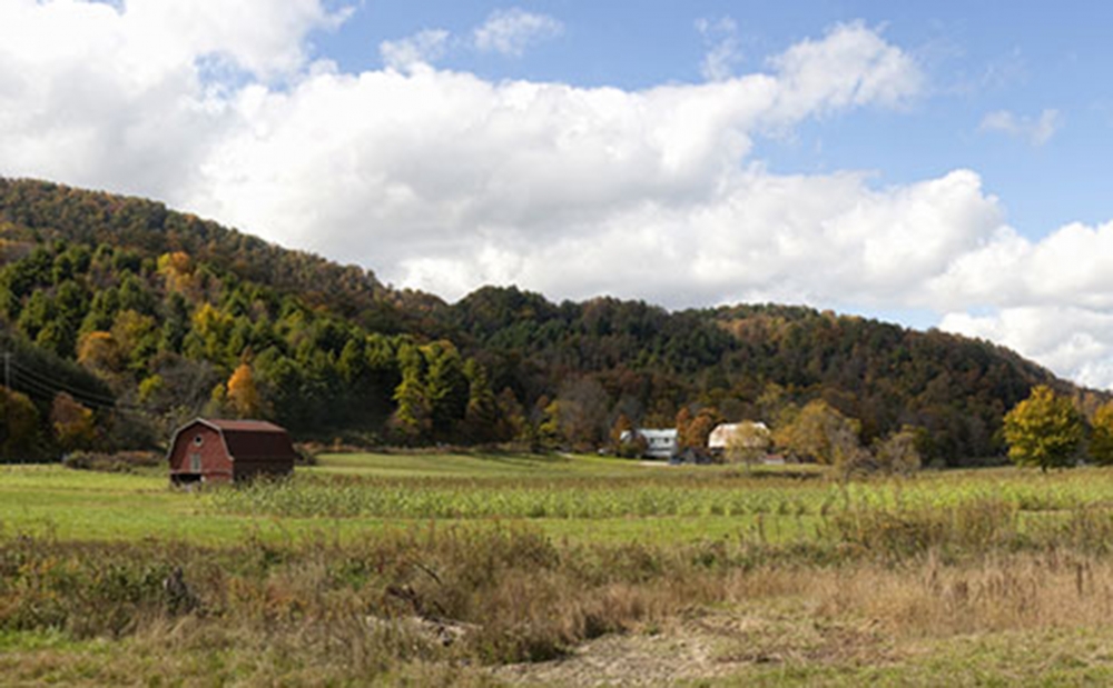 Study finds North Carolina children in rural counties, high poverty schools more likely to be