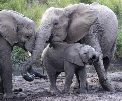 Family Time