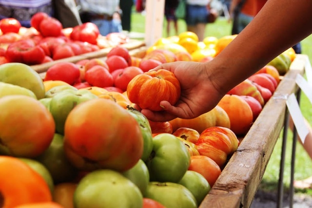 UDC Farmers Market back for the summer