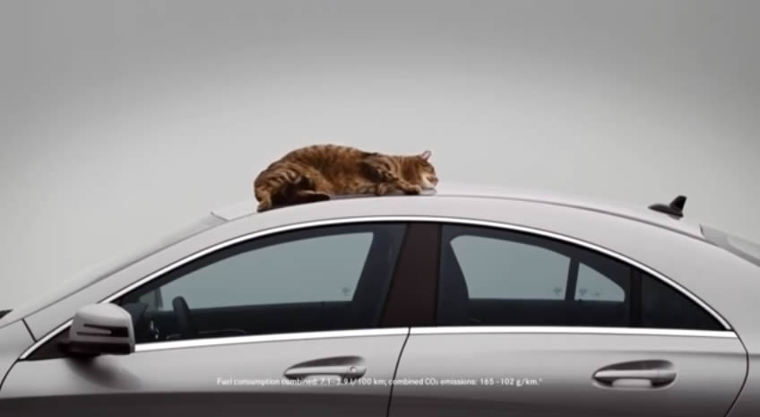 Mercedes-Benz CLA-Class Cat Video