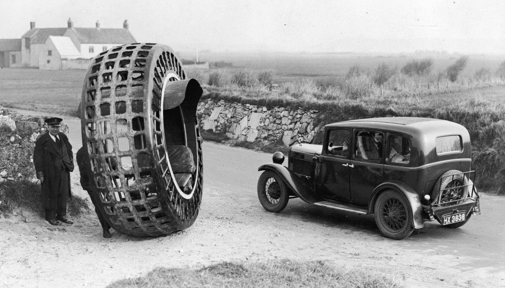 Adult Sized Hamster Wheel