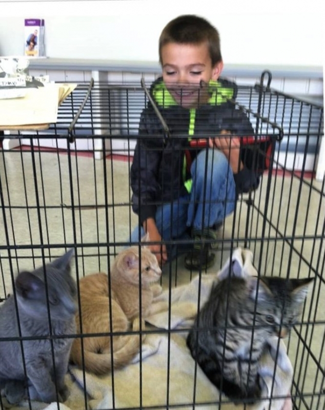 PETFIX NORTHEAST OHIO OFFERING SPECIAL 20 SPAY/NEUTER SURGERIES FOR