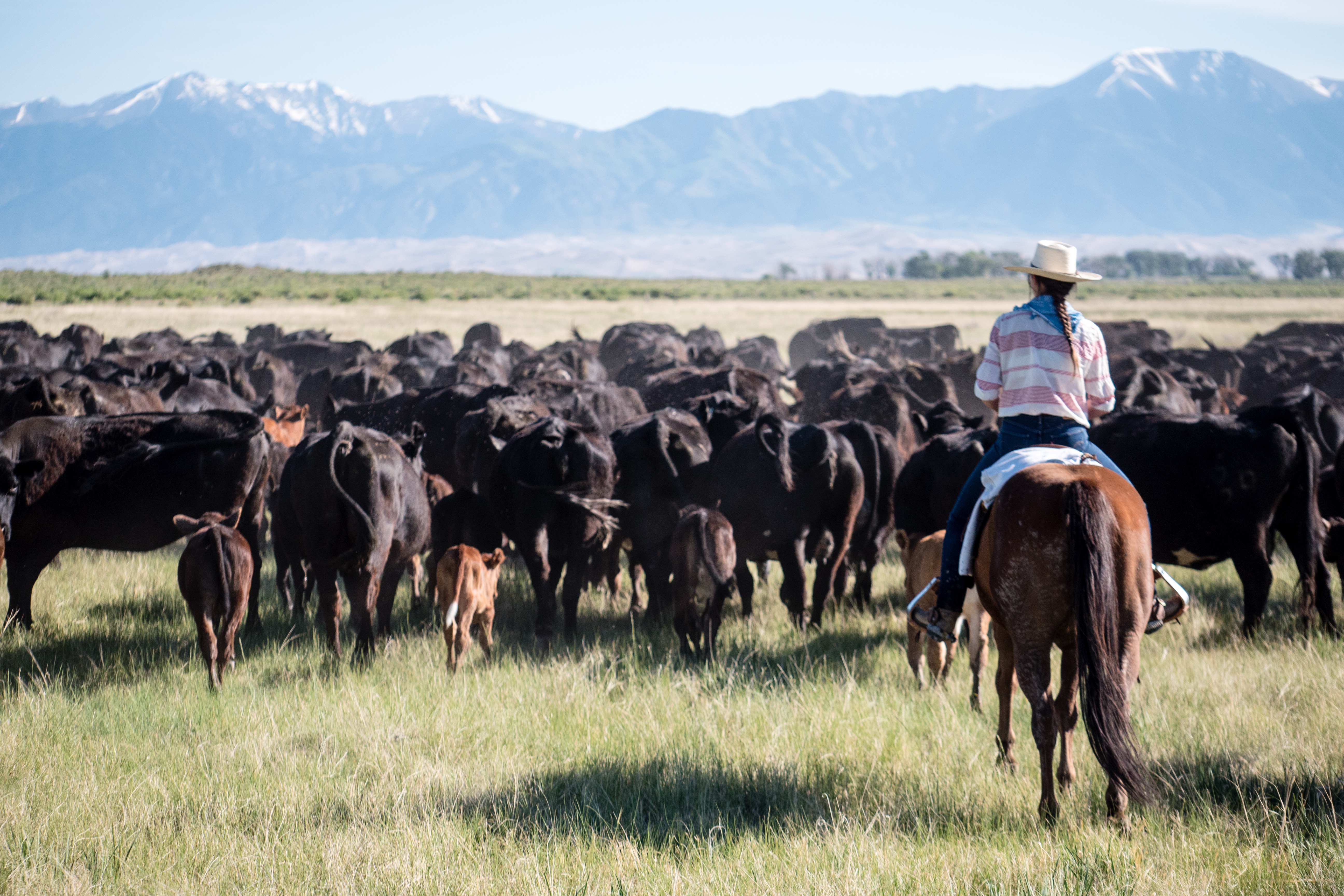 Zapata Ranch Excursionist