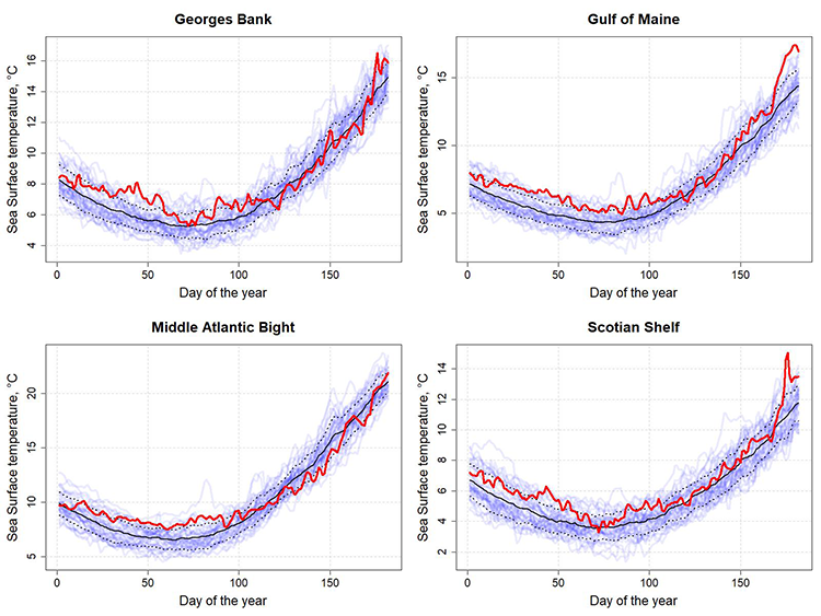 Graphs showing the daily sea surface temperatures for all years between 1982 and 2020 for the first six months of the year. Daily sea surface temperatures were at or above average conditions during the first half of 2020.