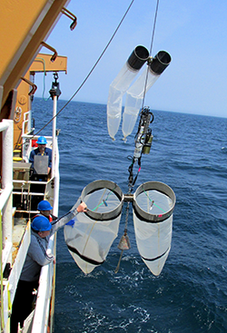 Bongo Net array being retrieved.