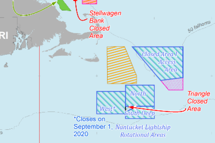 Atlantic Sea Scallop Fishery; 2020 Closure of the Closed Area I Access