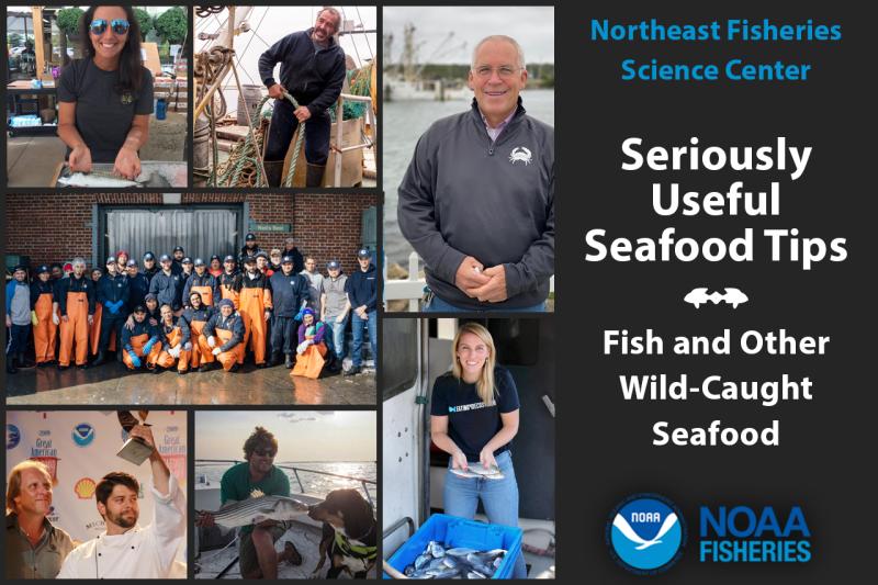Northeast Fisheries Science Center stakeholders and industry partners graphic