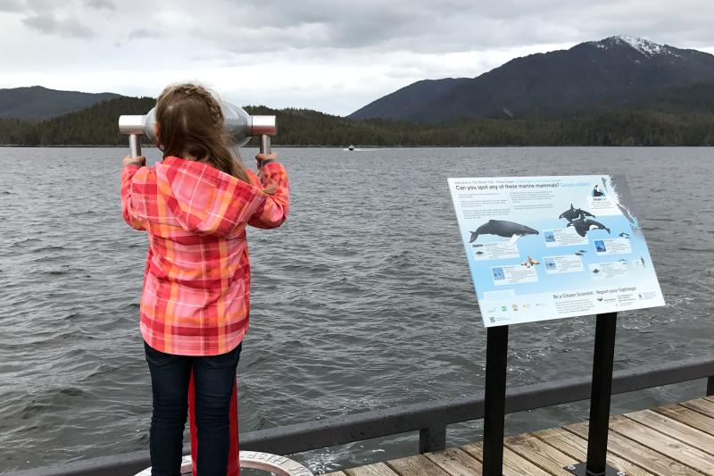 Person looking through binoculars out to sea