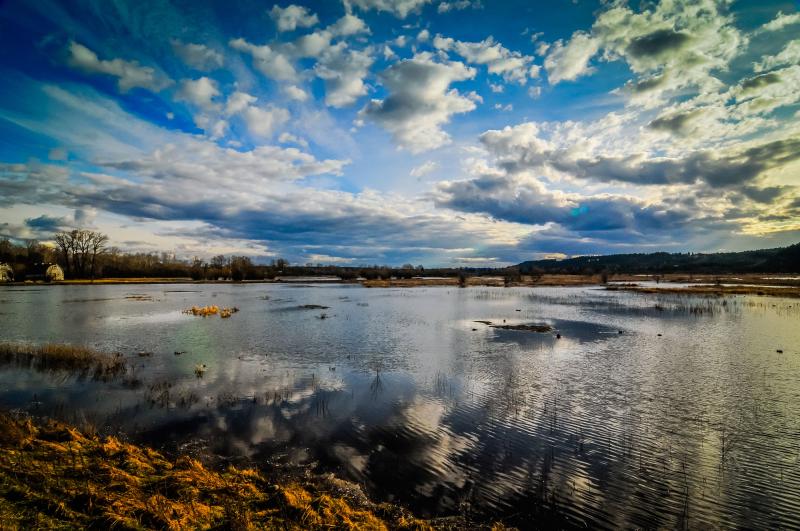 Panoramic view of tidal estuary