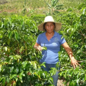 Columbian Women Producers