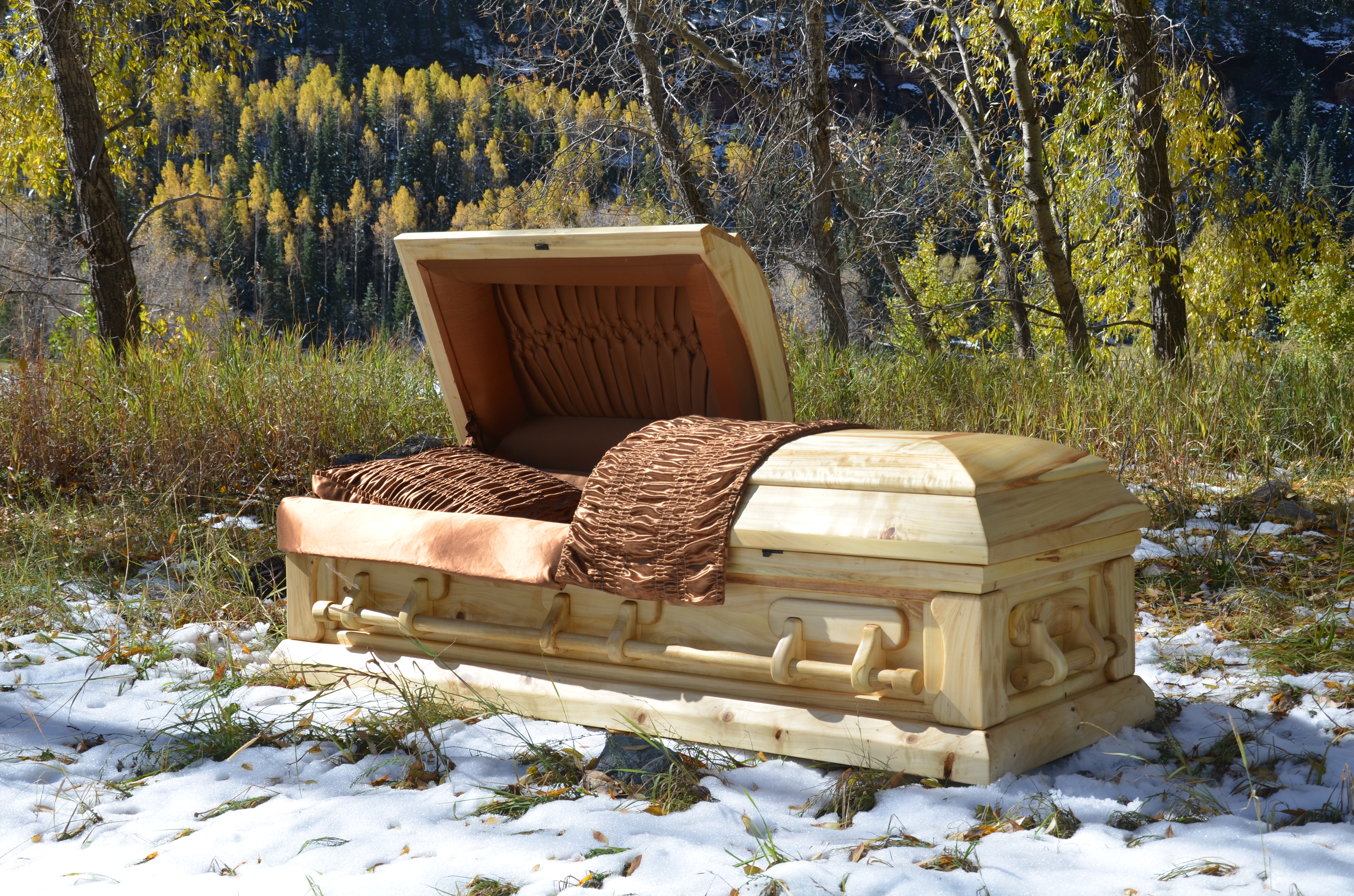 Kingstown Green Inc.EcoFriendly Casket Fundable Startup