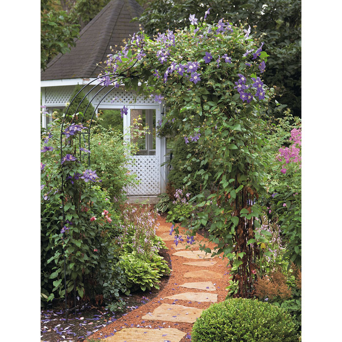 Vines for Arbors Garden Gate