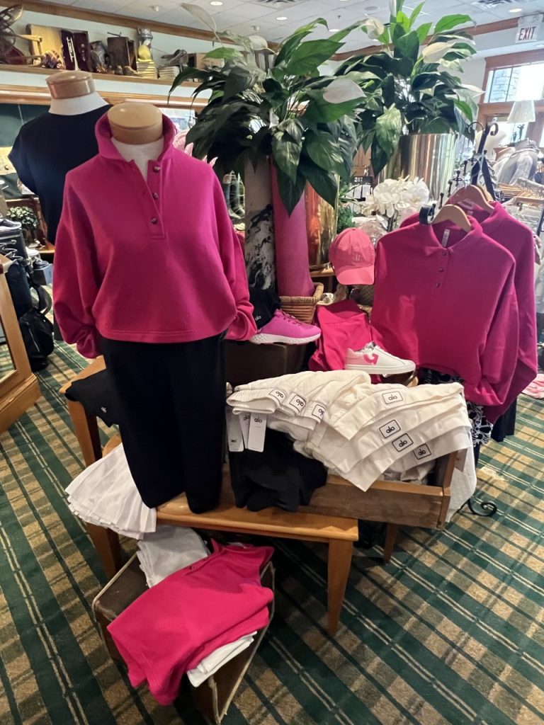 Bearpath ALO display
