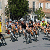 Sample Image from GLC Galleries