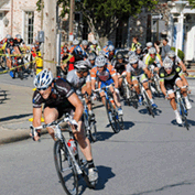 Sample Image from GLC Galleries