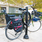 Sample Image from GLC Galleries