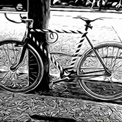 Sample Image from GLC Galleries