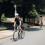 Sample Image from GLC Galleries