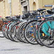 Sample Image from GLC Galleries