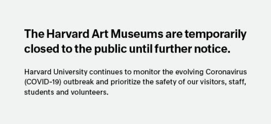 Homepage Harvard Art Museums