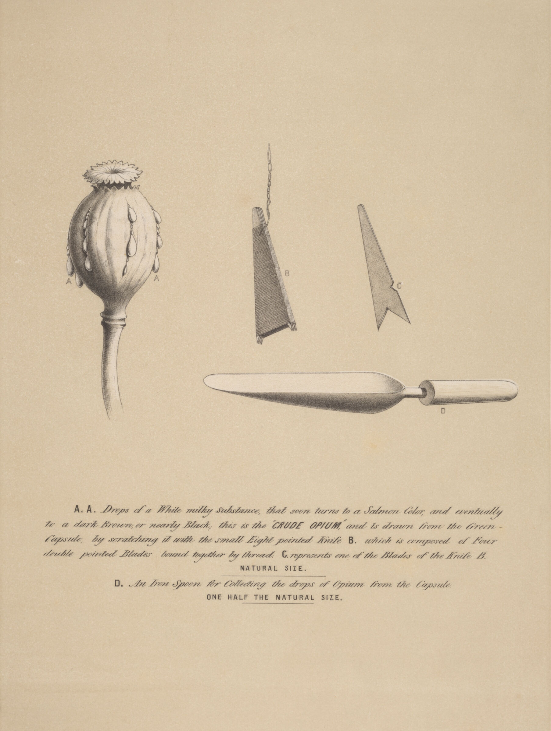 Objects of Addiction: Opium, Empire, and the Chinese Art Trade