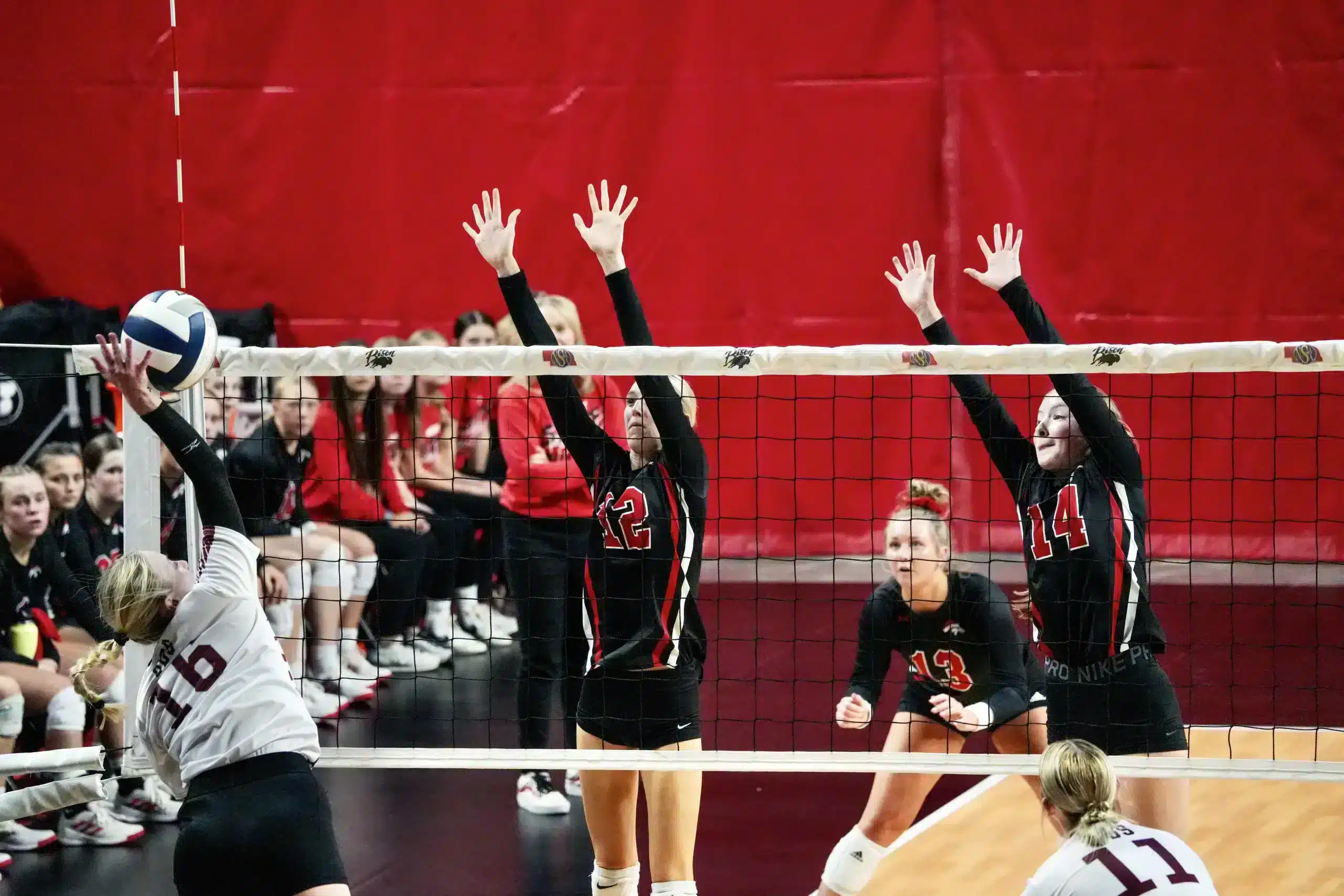 DSC05559 2023 State Volleyball Day Two Highlights